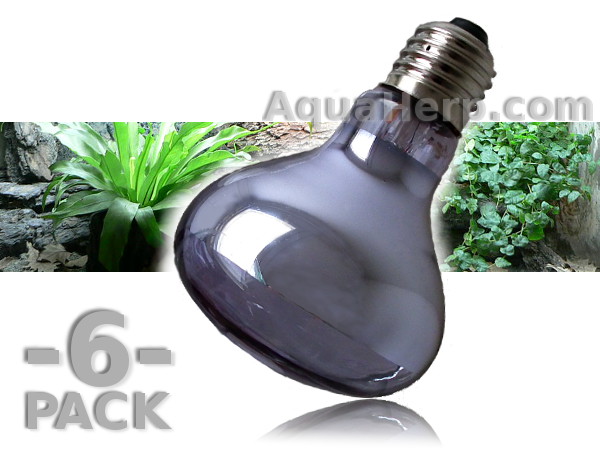 Daylight Heat Lamp Neodymium E27 100W / 6-PACK