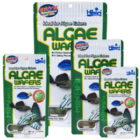 Hikari Algae Wafers 20g