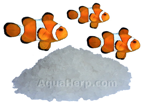 Magnesium Sulfate (MgSO4) / 20kg