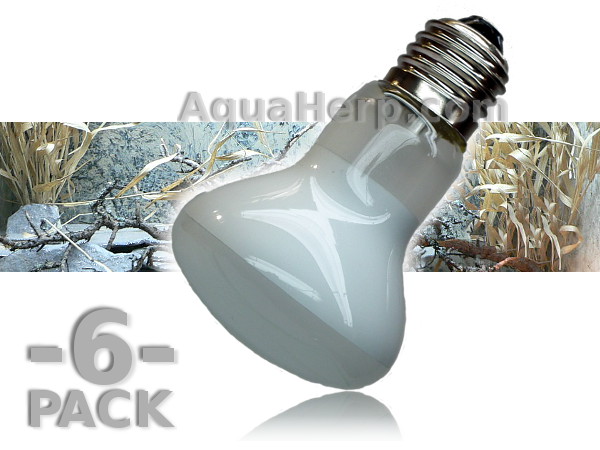 Basking Spot Lamp E27 60W / 6-PACK
