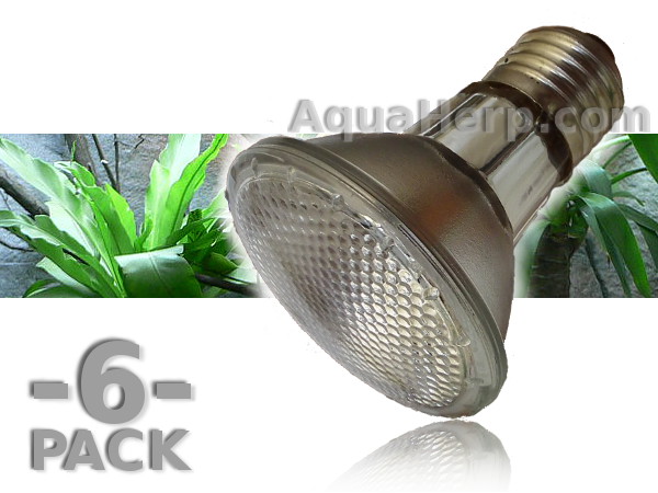 Halogen Basking Spot Lamp E27 50W / 6-PACK