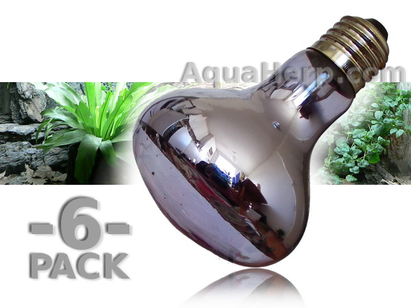 Daylight Heat Lamp Neodymium E27 75W / 6-PACK