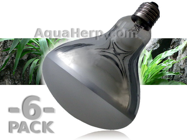 Reptile Solar UVB Lamp E27 100W / 6-PACK