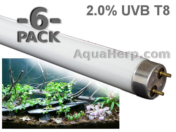 T8 Reptile Light 2.0% UVB 15W / 6-PACK