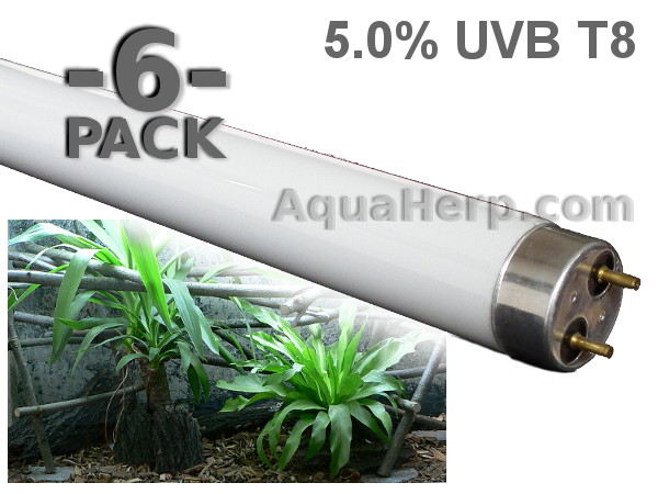 T8 Reptile Light 5.0% UVB 18W/20W / 6-PACK