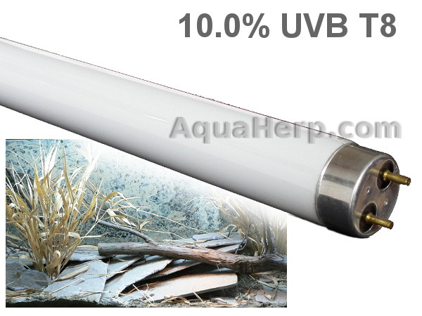 T8 Reptile Light 10.0% UVB 18W