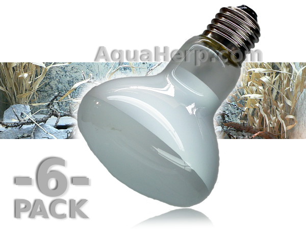Basking Spot Lamp E27 100W / 6-PACK