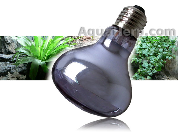 Daylight Heat Lamp Neodymium E27 100W