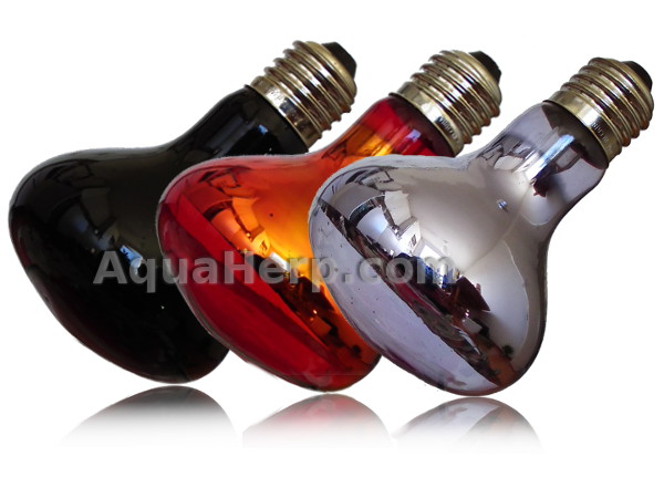 Heat Lamps (Bulbs)