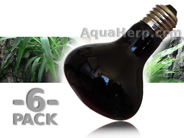 Black Night Heat Lamp E27 75W / 6-PACK