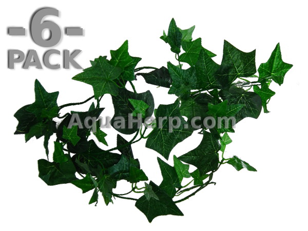 Ivy Vine 185cm / 6-PACK