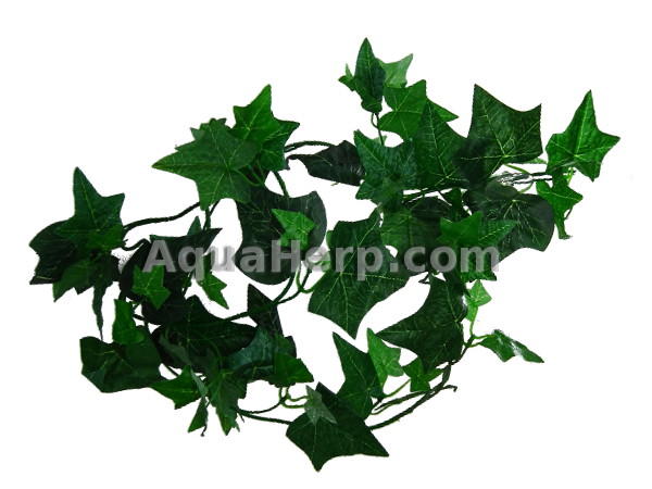 Ivy Vine 185cm