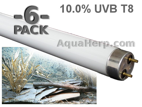 T8 Reptile Light 10.0% UVB 15W / 6-PACK