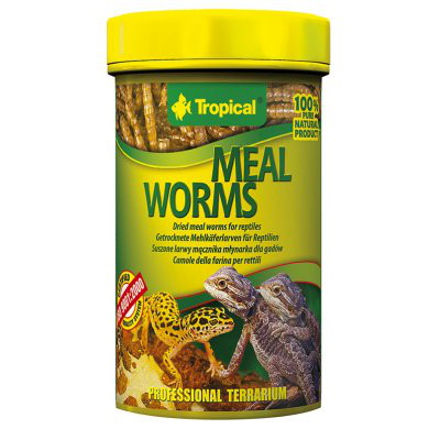 Tropical Mealworms 100ml